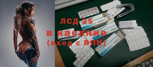 ПСИЛОЦИБИНОВЫЕ ГРИБЫ Аркадак