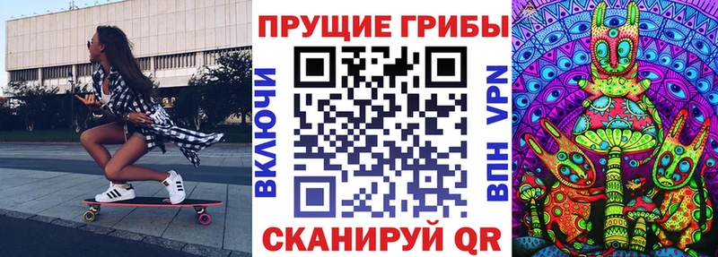 Псилоцибиновые грибы Cubensis  магазин    Сысерть 